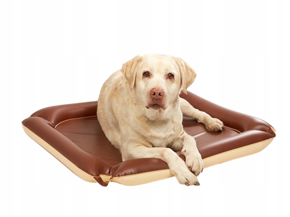 Snadno Omyvatelná Nafukovací Podložka Pro PSA80X80