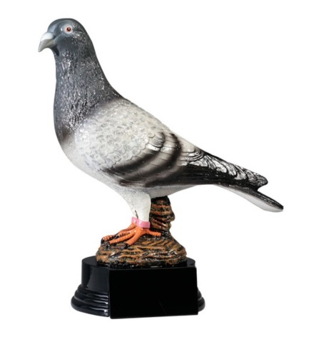 Statuetka Gołąb 20,5 cm Gołębie Pocztowe Nagroda Hodowcy z Grawerem