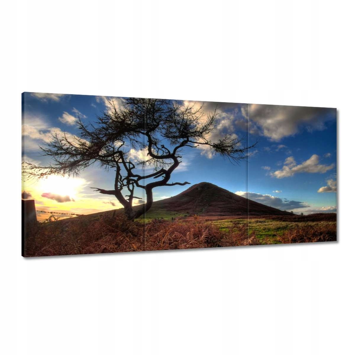 Obrazy 180x90 Stromček