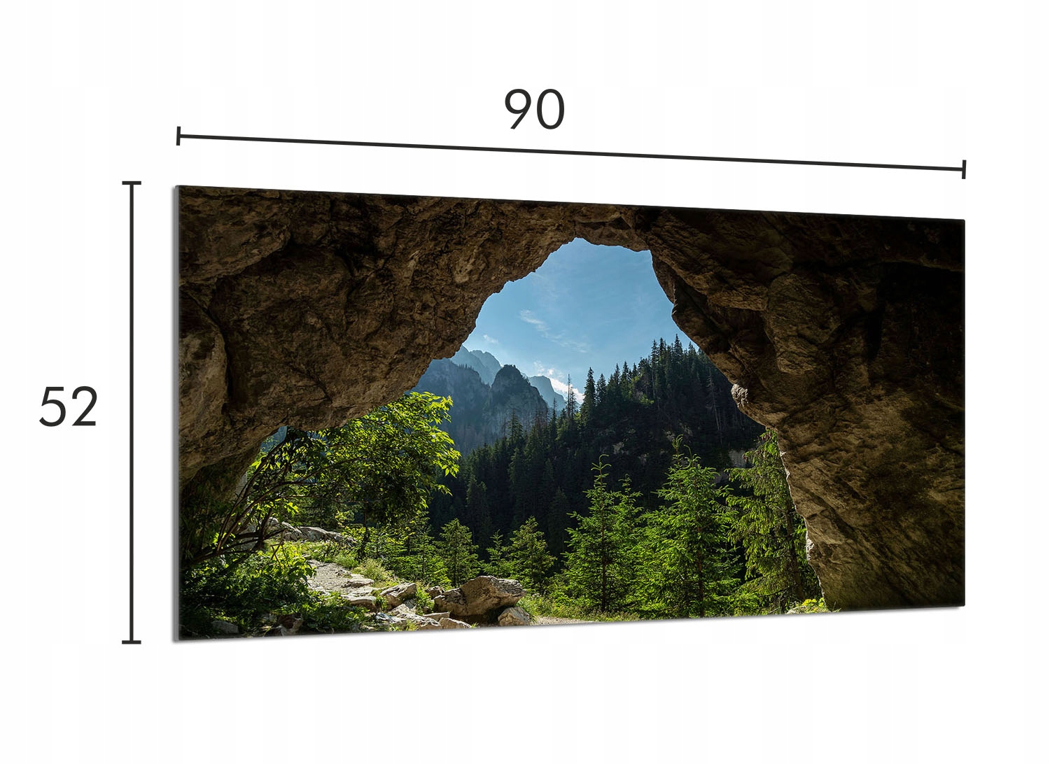 Skleněná ochranná deska na sporák 90x52 Stromy