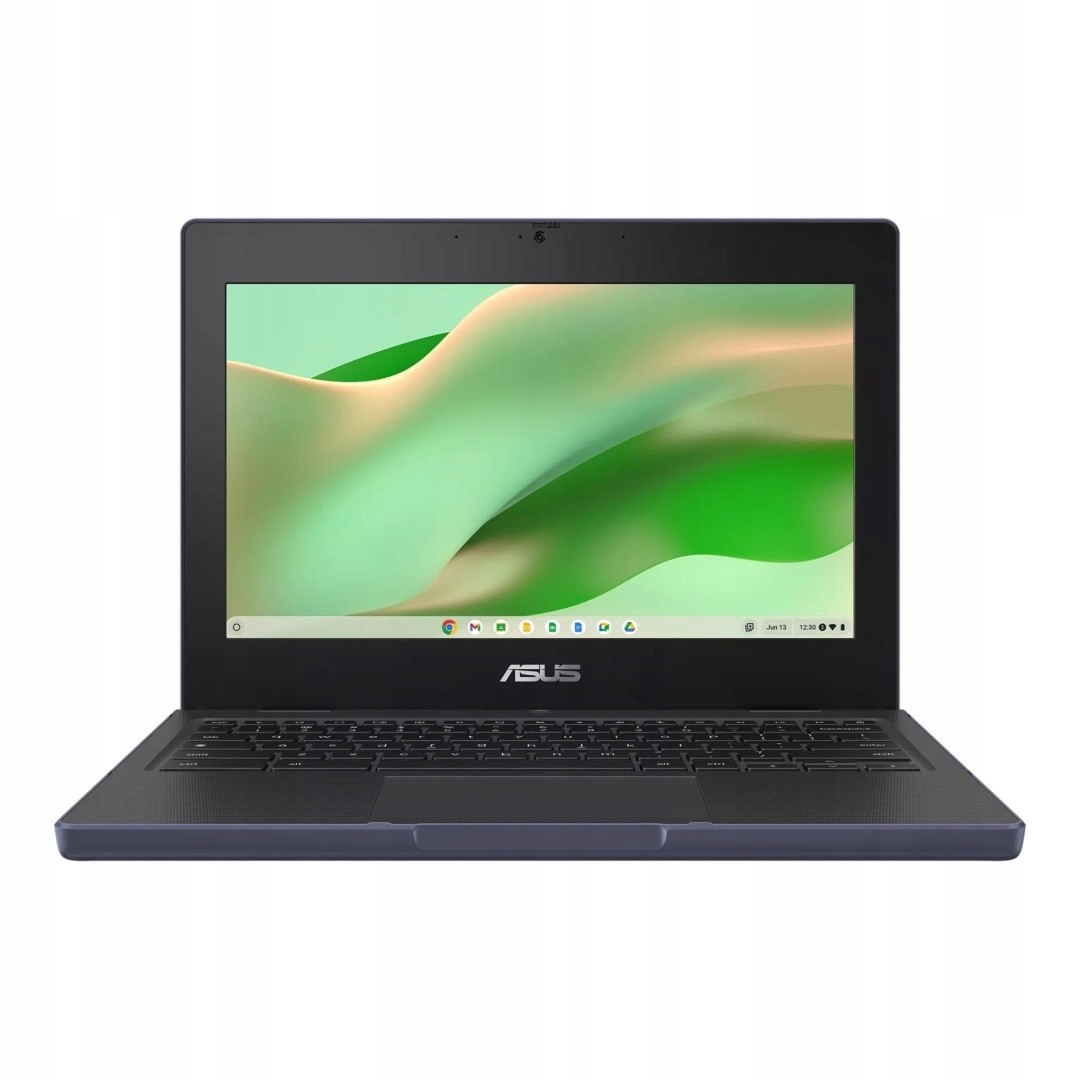 Laptop Asus CR1104CGA-N00200 11,6 " Amd A10 1 Gb 64 Gb