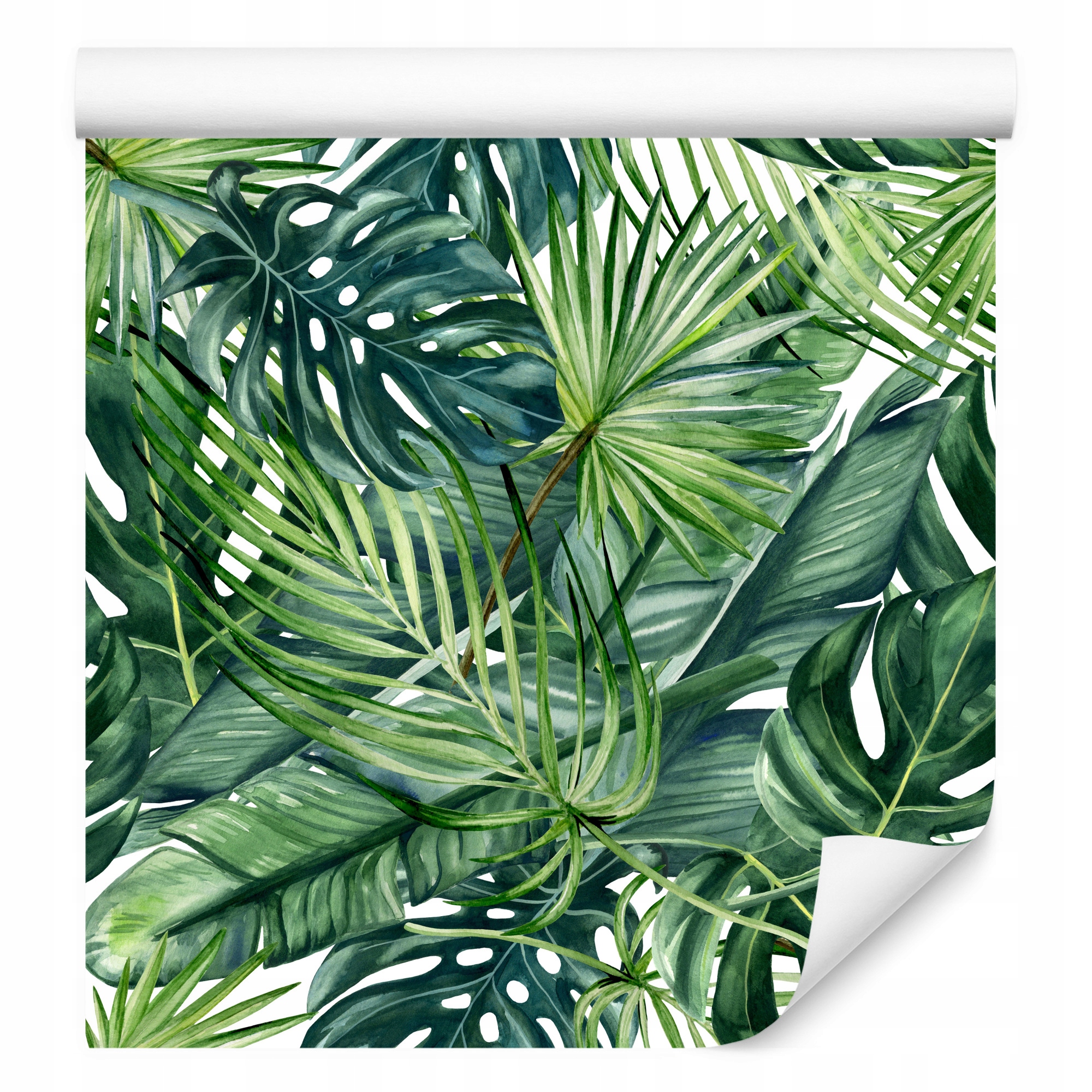 Tapeta v roli do jídelny Abstraktní Listy Tropické Monstera Rostliny
