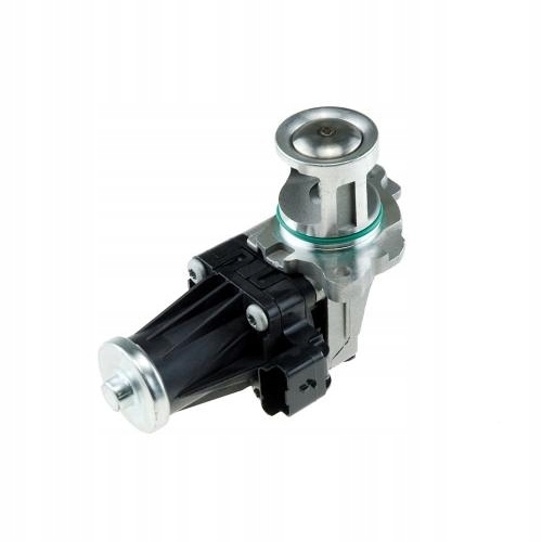 Nty EGR-Fr-010 AGR клапан
