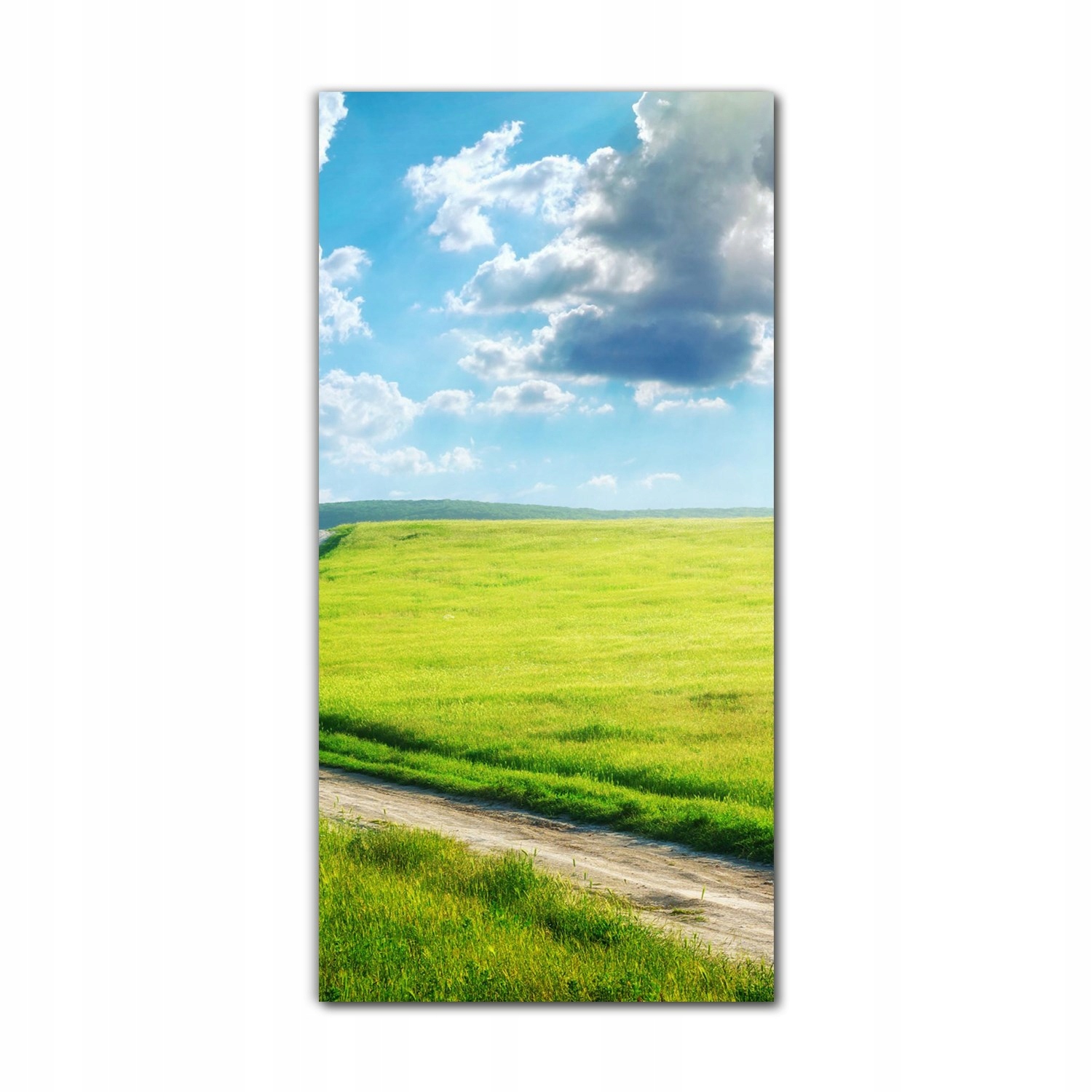 

Foto-obraz szklany do salonu 70x140 Natura zieleń