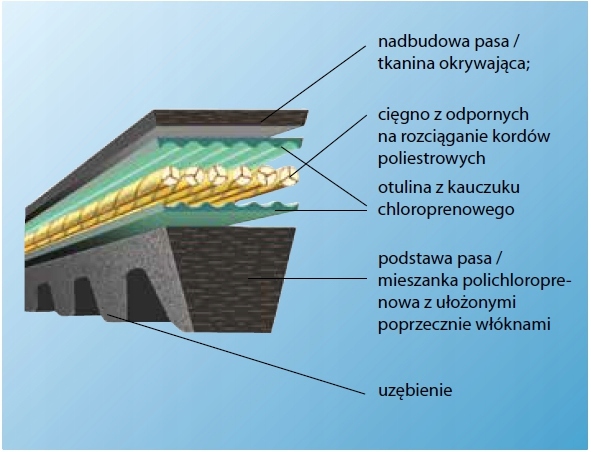 PAS KLINOWY ZĘBATY PASEK OPTIBELT Z/10 XPZ 987 Marka Wacker