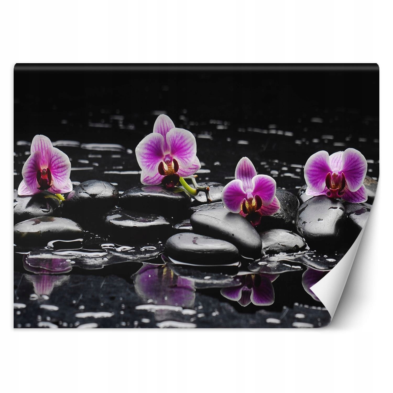 Fototapeta, Kamene zen orchidea 300x210