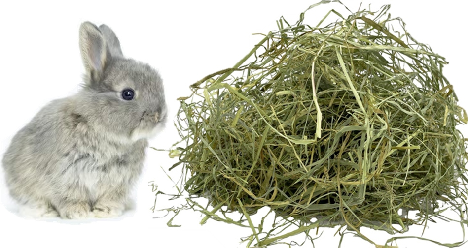 Levně Dobré čerstvé maďarské seno pro králíka krmivo pro králíky 6 kg od farmáře