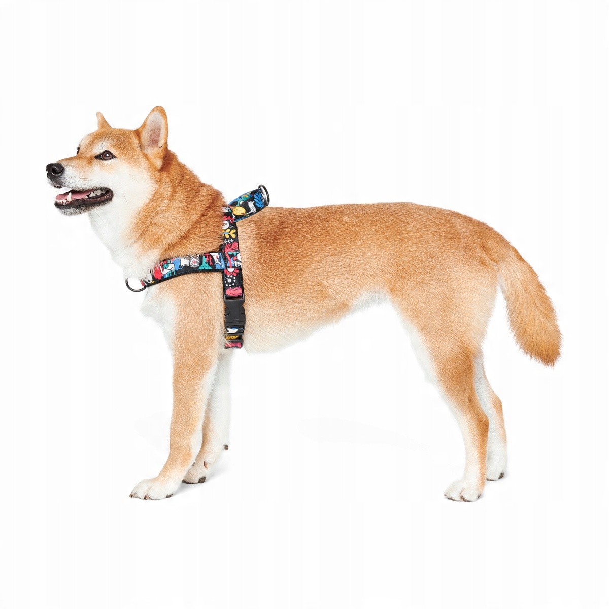 

John Dog Barcelona szelki norweskie dla psa XL