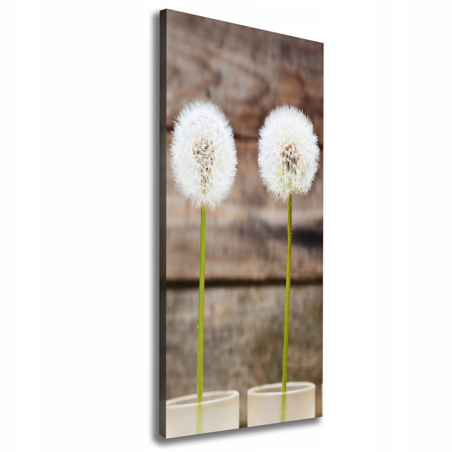 Foto obraz na plátně do obývacího pokoje Dmychadla 50x125 cm