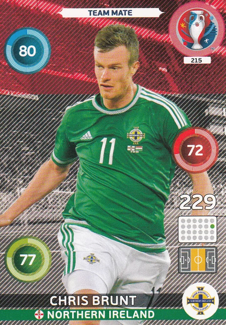 Uefa Euro 2016 Team Mate Chris Brunt 215