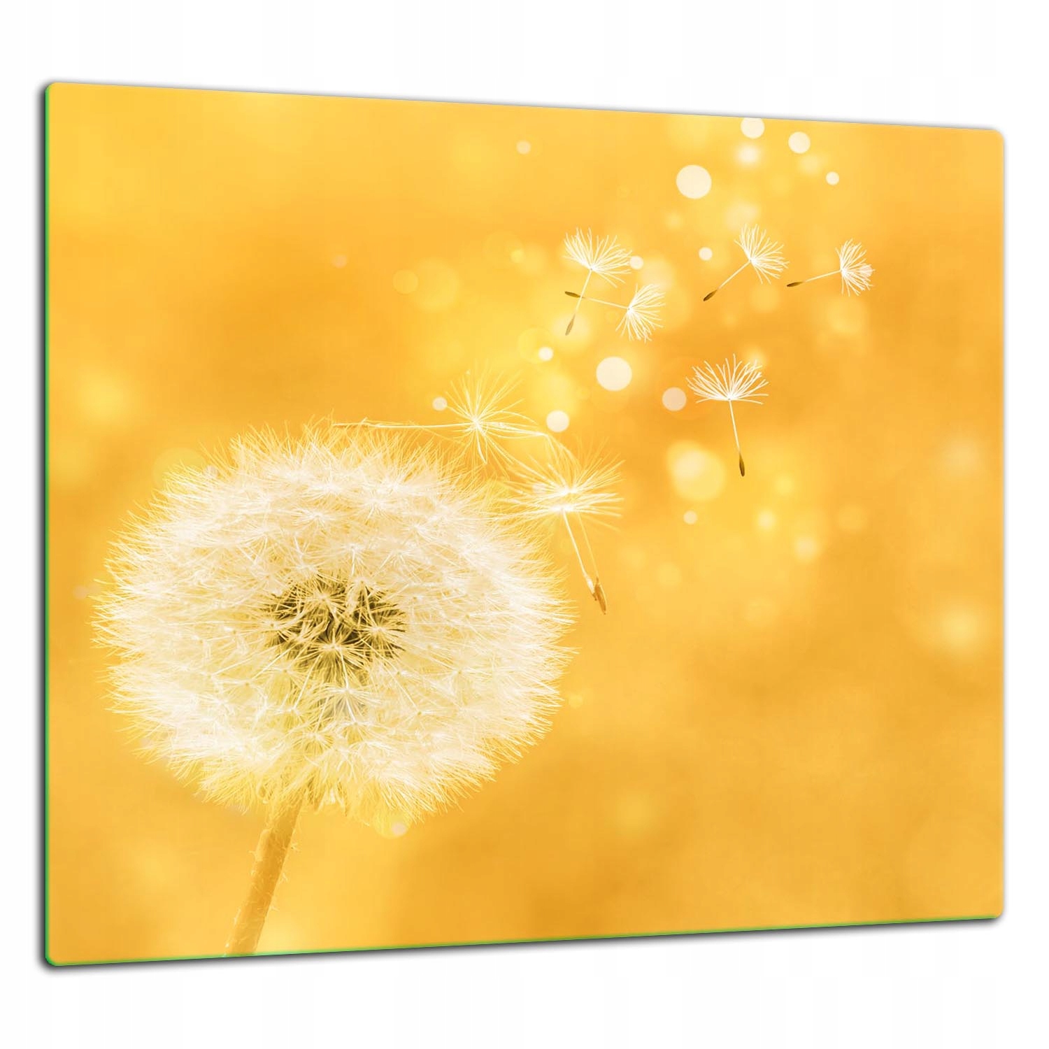 Skleněná Ochranná Deska Panel Lepidlo 65x60 Květina
