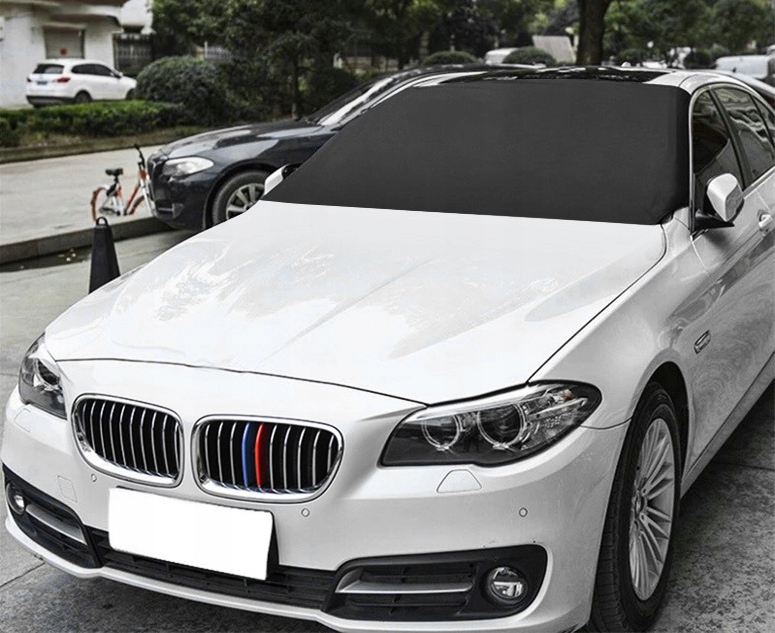 MATA ANTYSZRONOWA NA SZYBĘ OSŁONA PRZED MROZEM SKROBACZKA MOSIĘŻNA DŁUGA Rodzaj maty na szyby