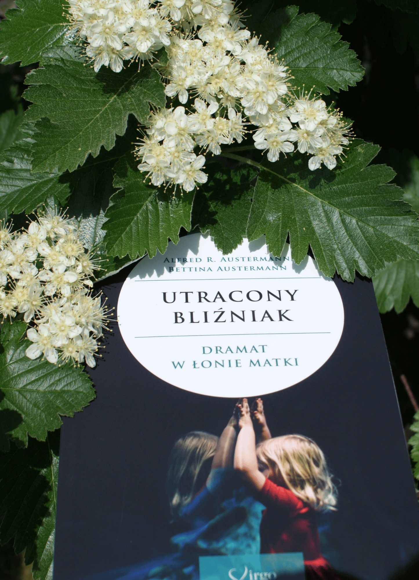 UTRACONY BLIŹNIAK Tytuł UTRACONY BLIŹNIAK