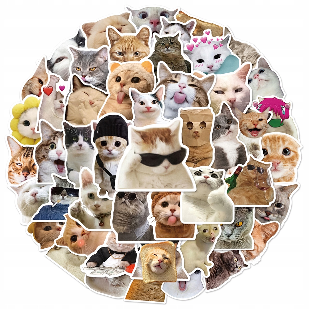 100 ks samolepky legrační kočka Meme karikatury DI za 200 Kč - Allegro