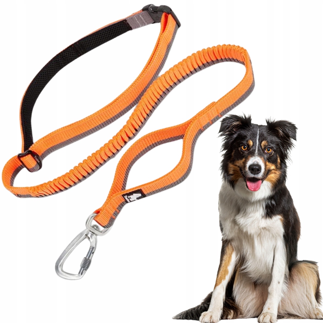 Smycz Dla Psa Z Lekkim Amortyzatorem Do Biegania Dogi L Pomarańczowa 3,4 m