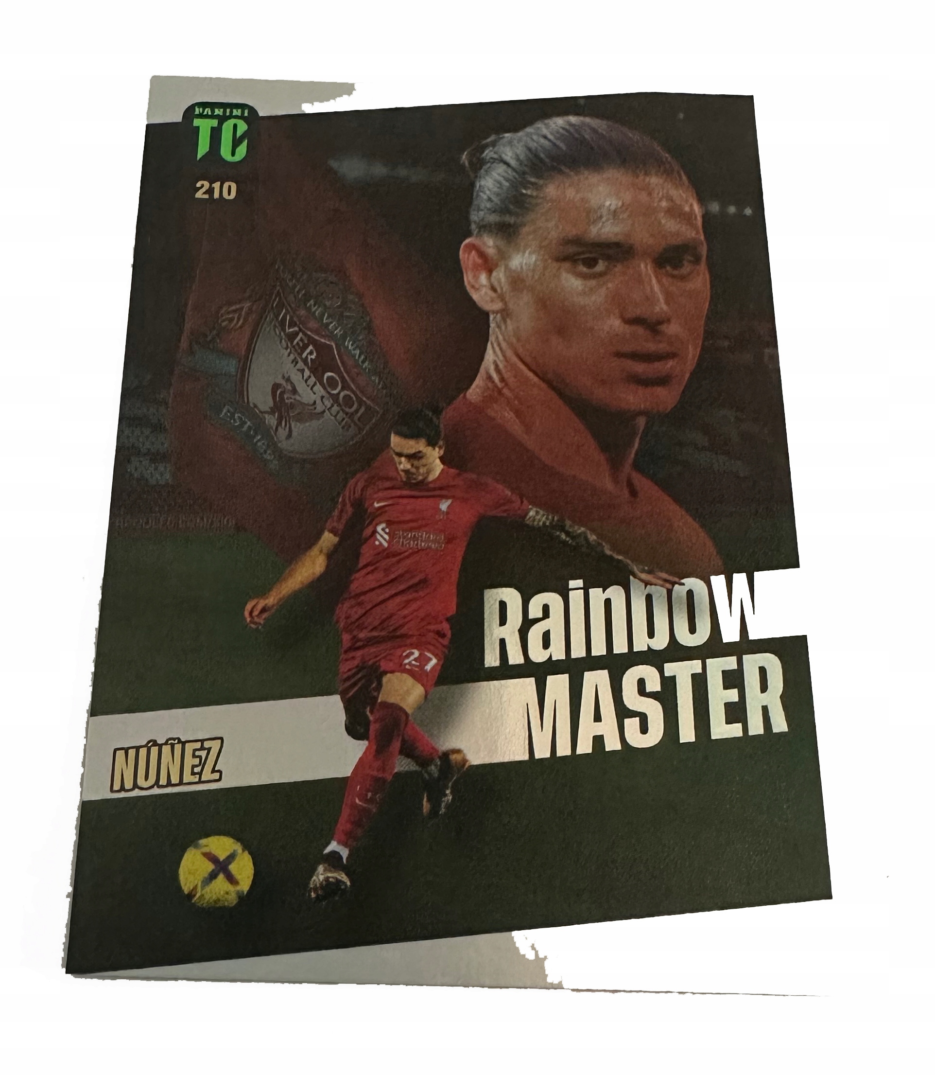 Top Class 2023 Rainbow Master 210 Nunez