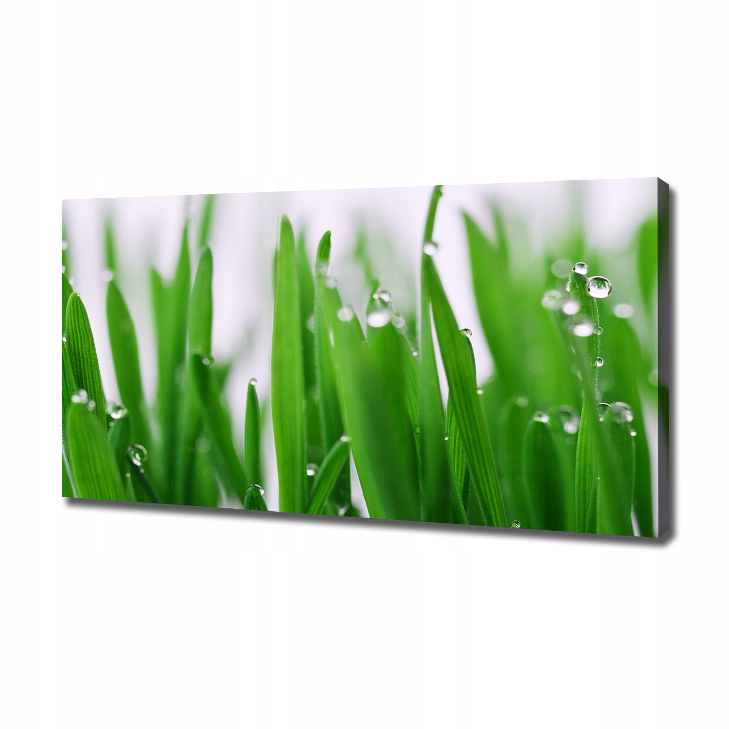 

Duży foto obraz na płótnie Źdźbła trawy 120x60 cm