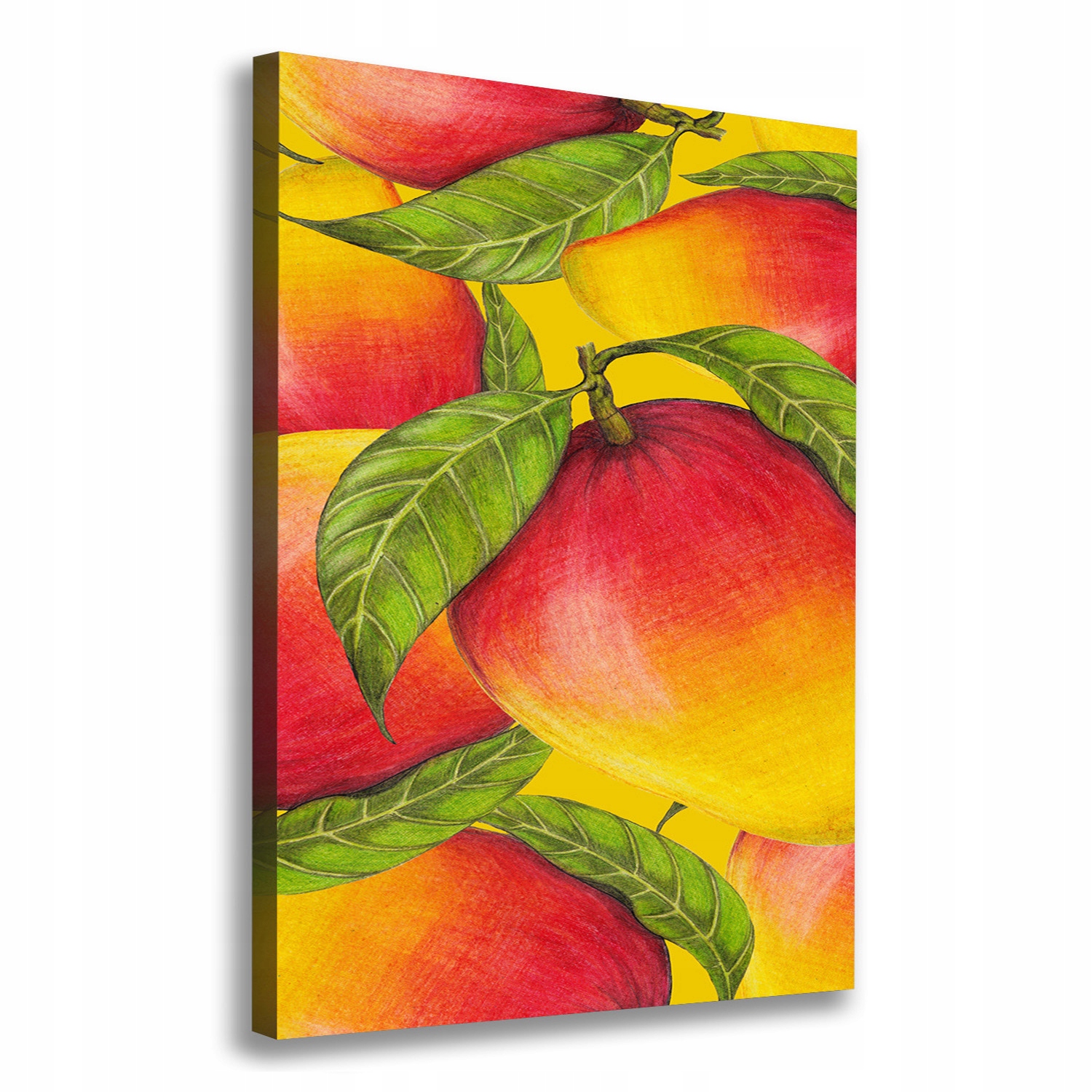 

Foto-obraz zdjęcie na płótnie Mango 70x100 cm