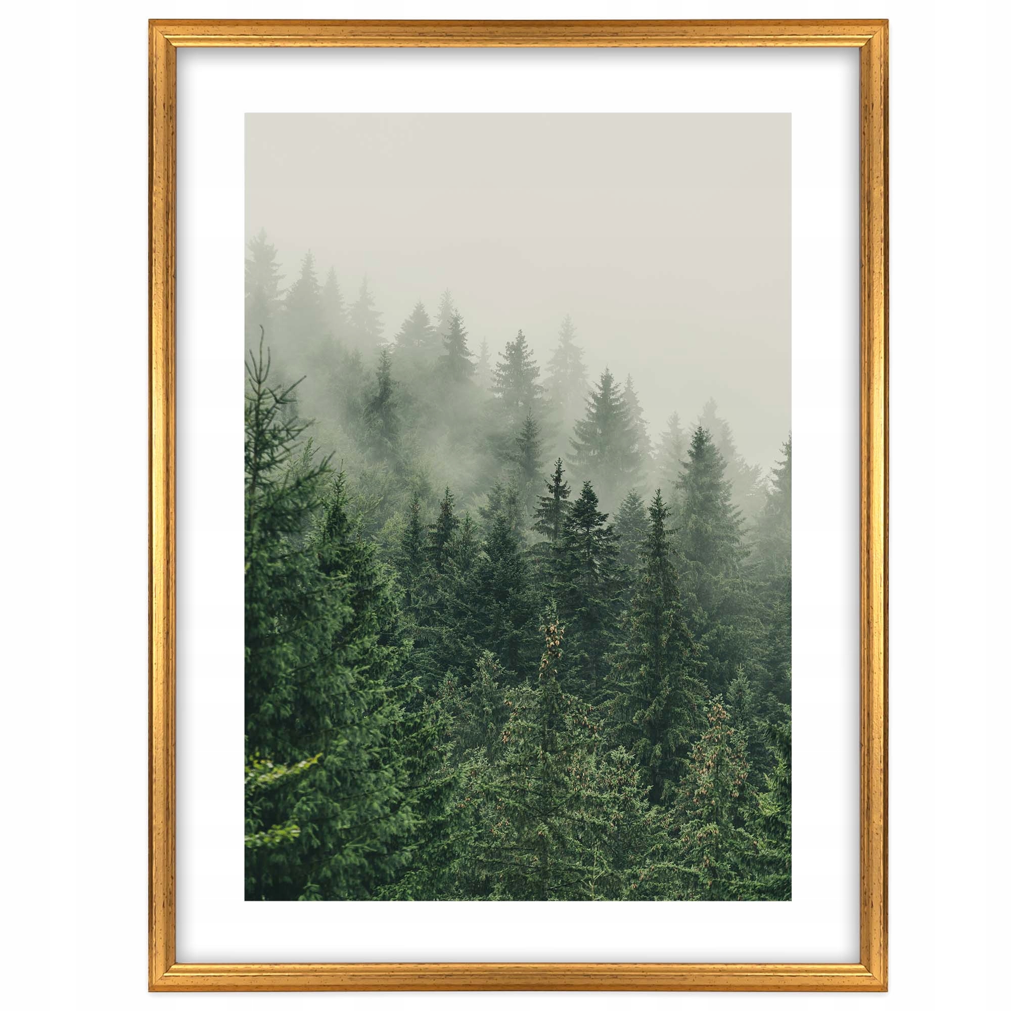 

Ramka Na Zdjęcia Nowoczesna Prosta 30x40 Złota