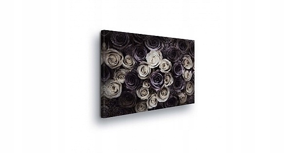Obraz 100x75 Růže pupeny tmavé světlé květy kontrast textura mystika