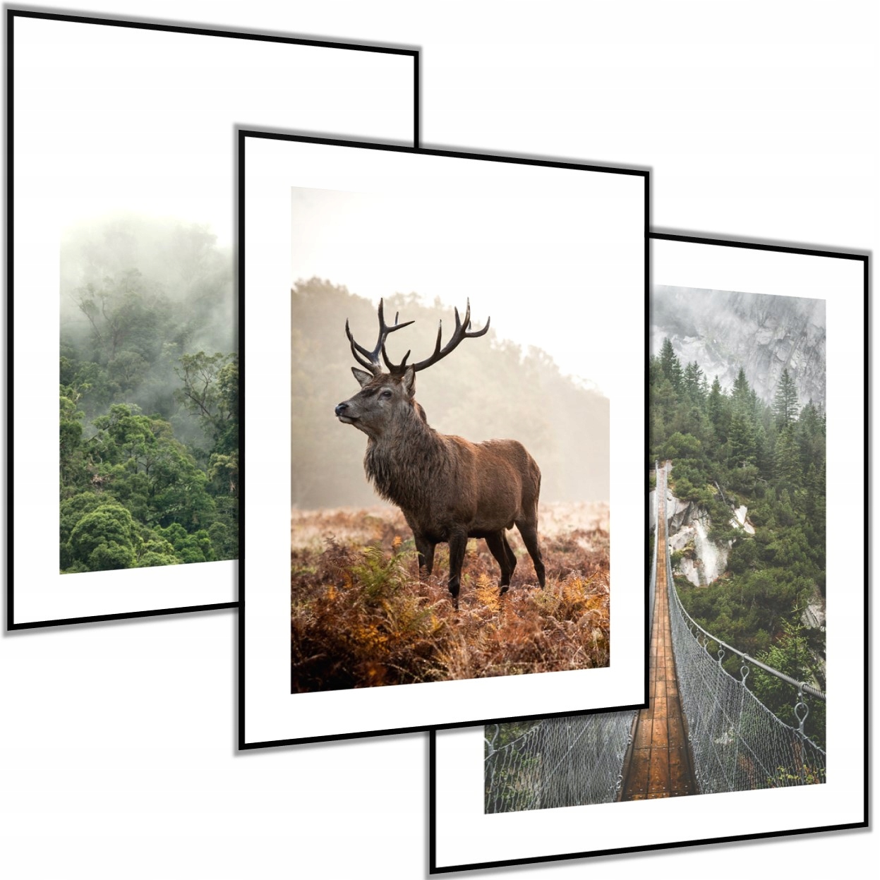 3 x Plakat Obraz 50x70 Łoś Jeleń Poroże Las Most Góry Zielony Brązowy