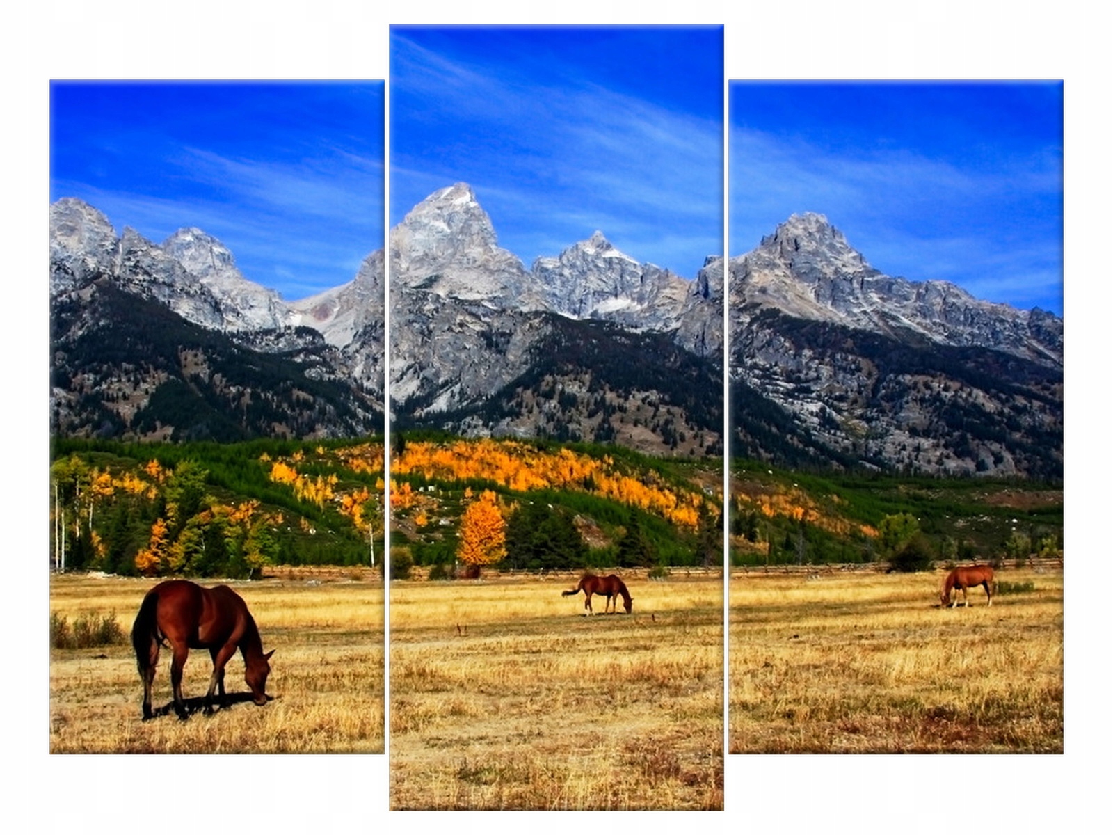 

Obraz Grand Teton 90x70 Pejzaż Zwierzęta salon