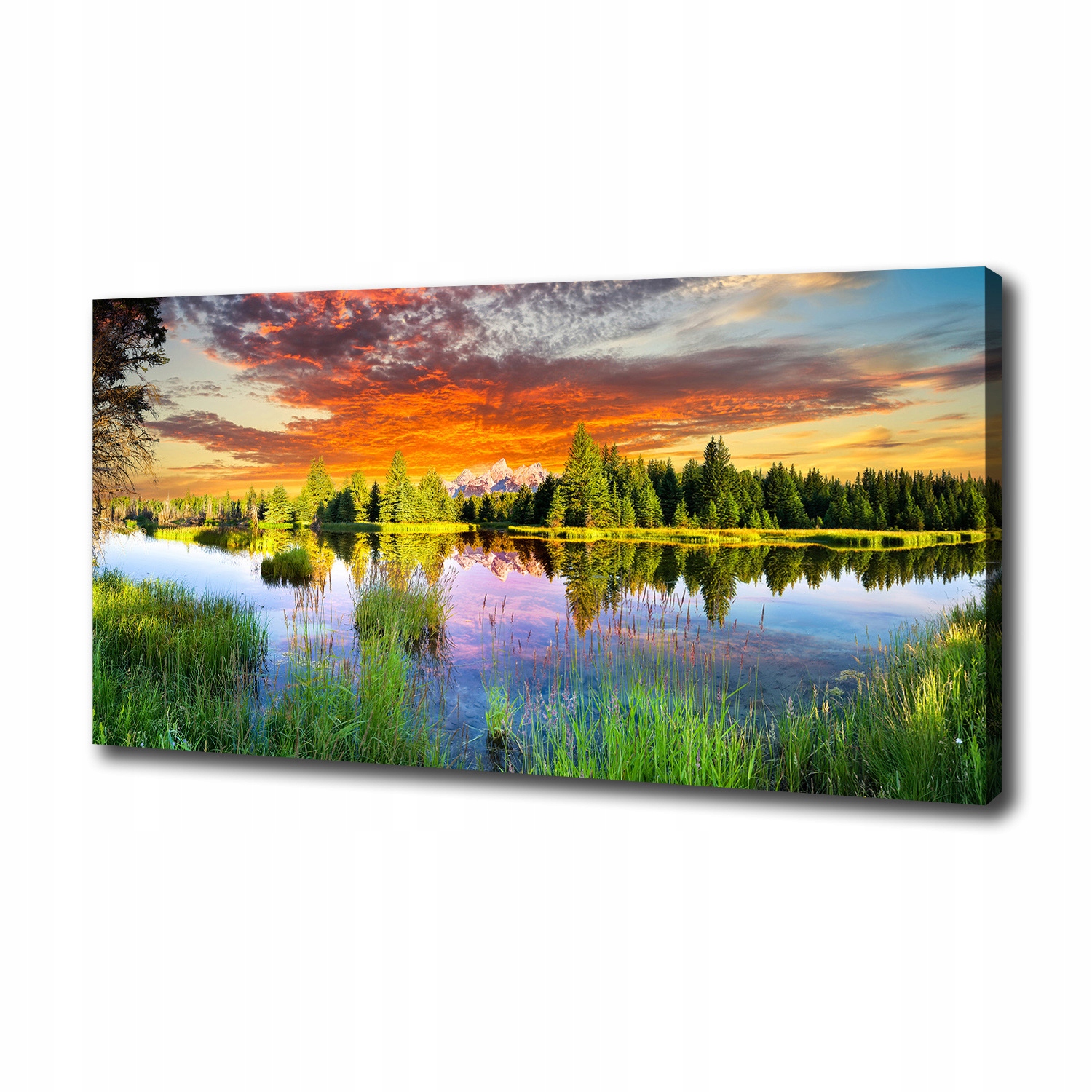 

Foto obraz na płótnie Rzeka w lesie 100x50 cm