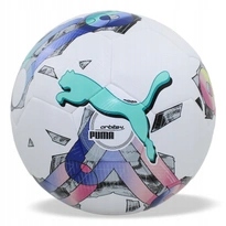 Piłka nożna Puma 83778 01