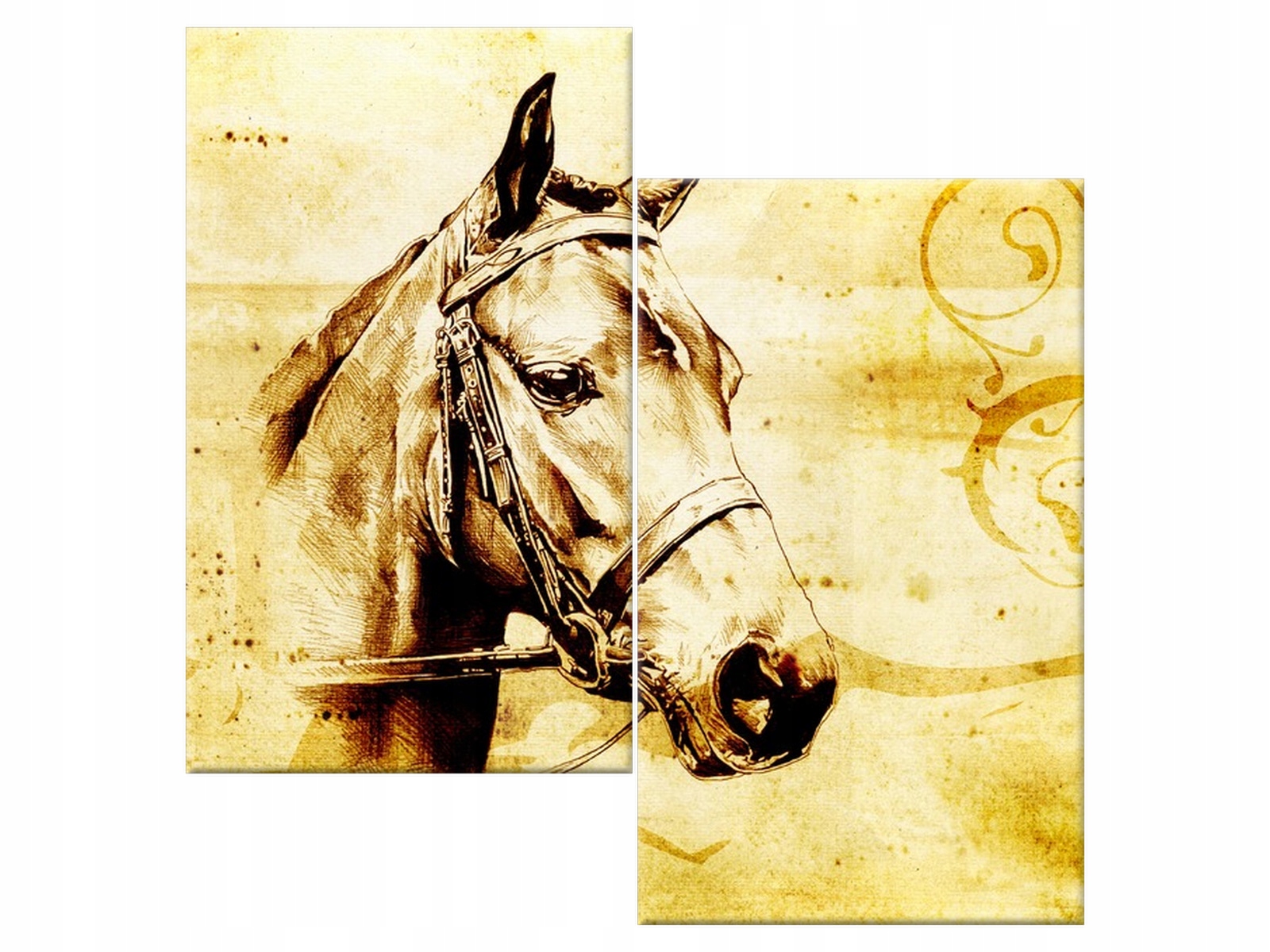 

Obraz Głowa konia 60x60 Abstrakcje Zwierzęta