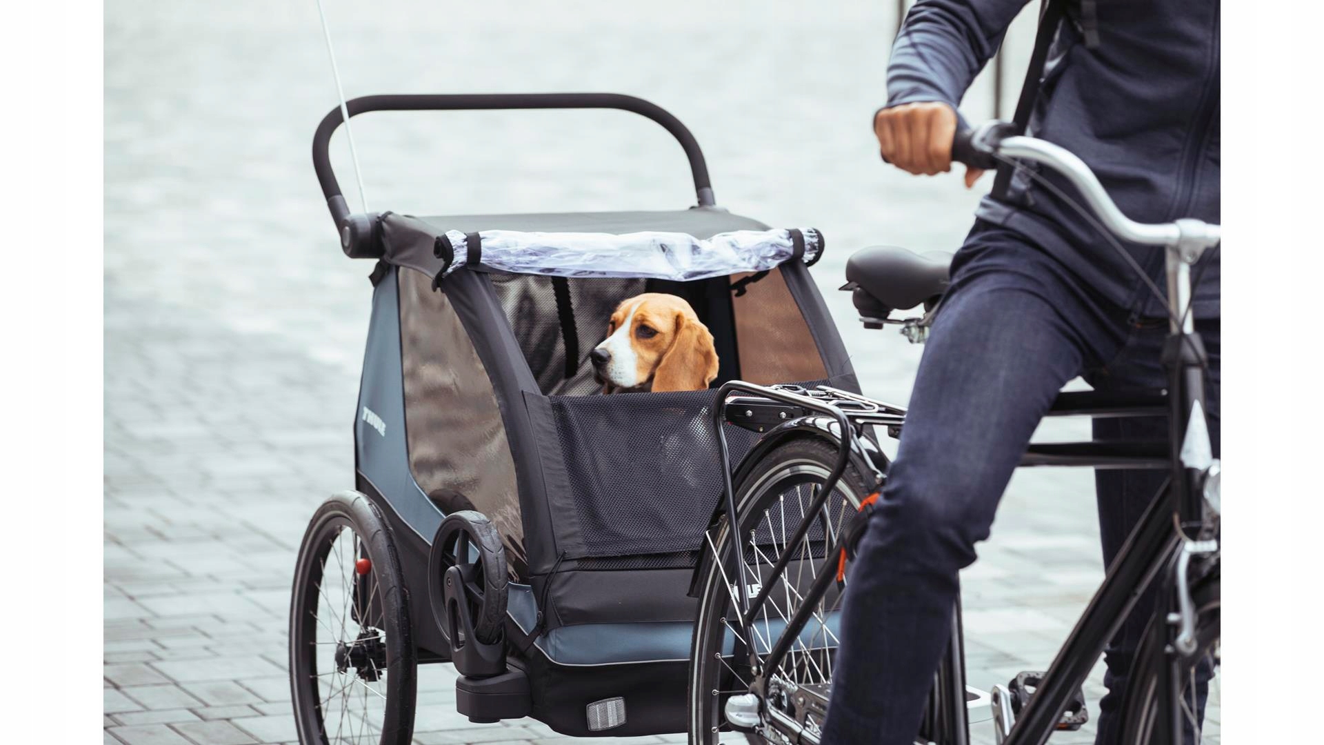 

Przyczepka rowerowa do przewozu psa Thule Courier