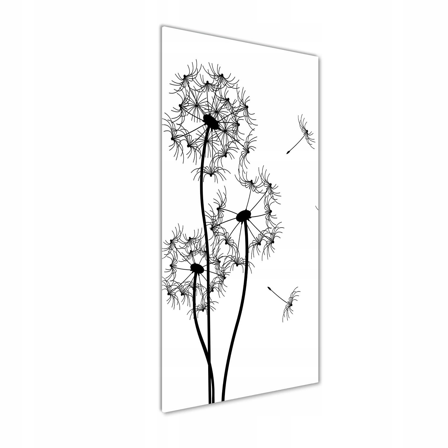 

Foto obraz akrylowy na ścianę Dmuchawce 50x125cm