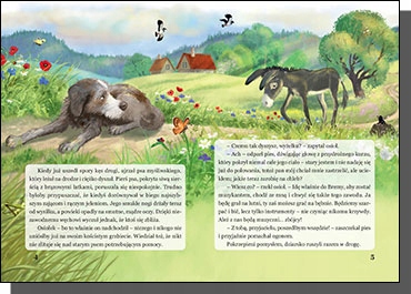 Zestaw Bajek MUZYKANCI Z BREMY, TOMCIO PALUSZEK, WILK I SIEDEM KOŹLĄTEK, O ISBN 9788375178944