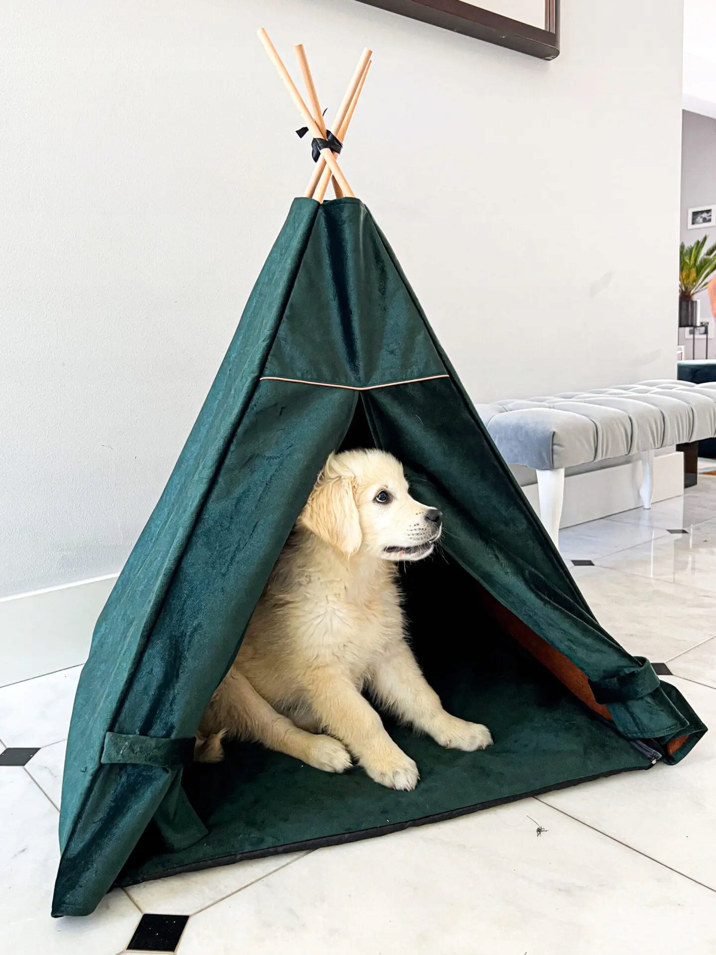 Namiot dla psa z zamykaną kurtyną, tipi dla psa Butelkowa Zieleń, 70x70cm