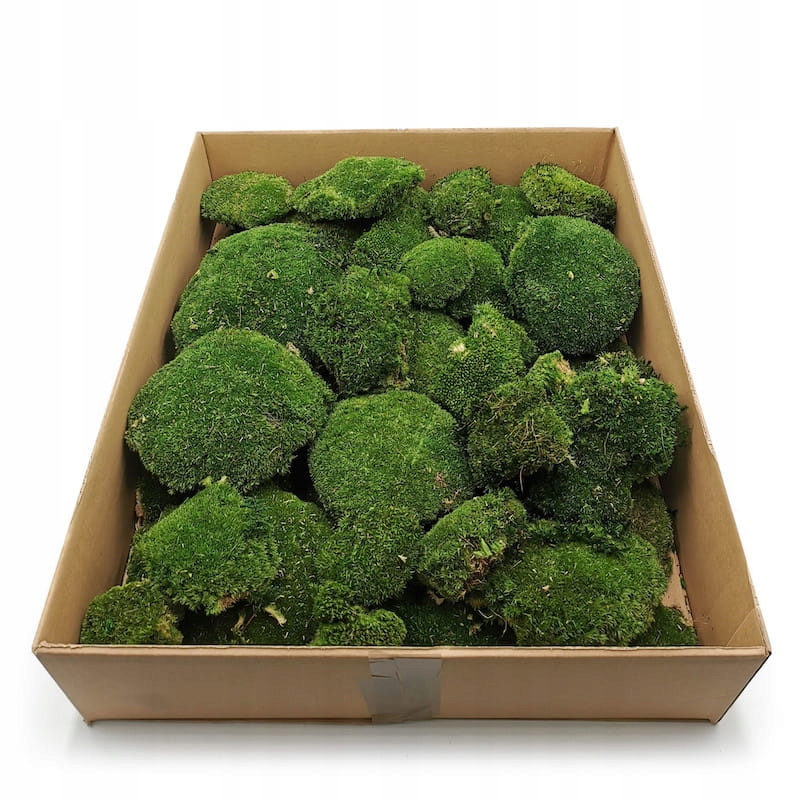 

Mech poduszkowy stabilizowany 2KG Ciemny Zielony