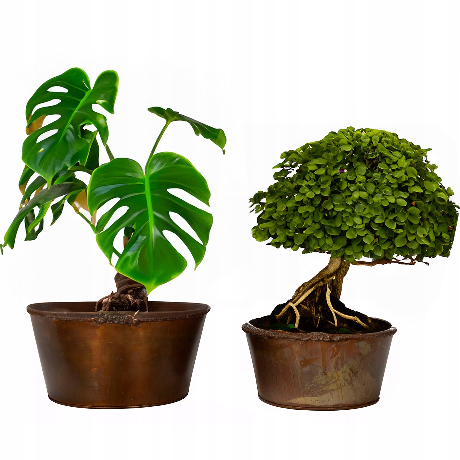 Květináč Na Bonsai Misa Loft 2 ks kovový rezavý obal na parapet