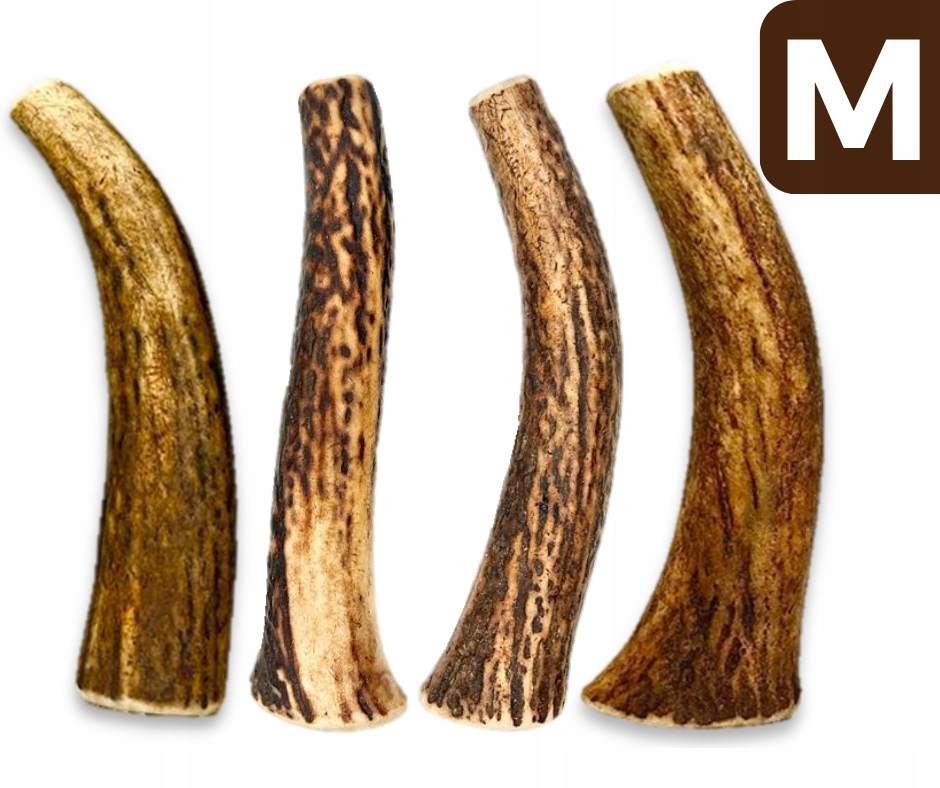 Levně Sada 4x jelení paroh pro psy velikosti M (tvrdý)