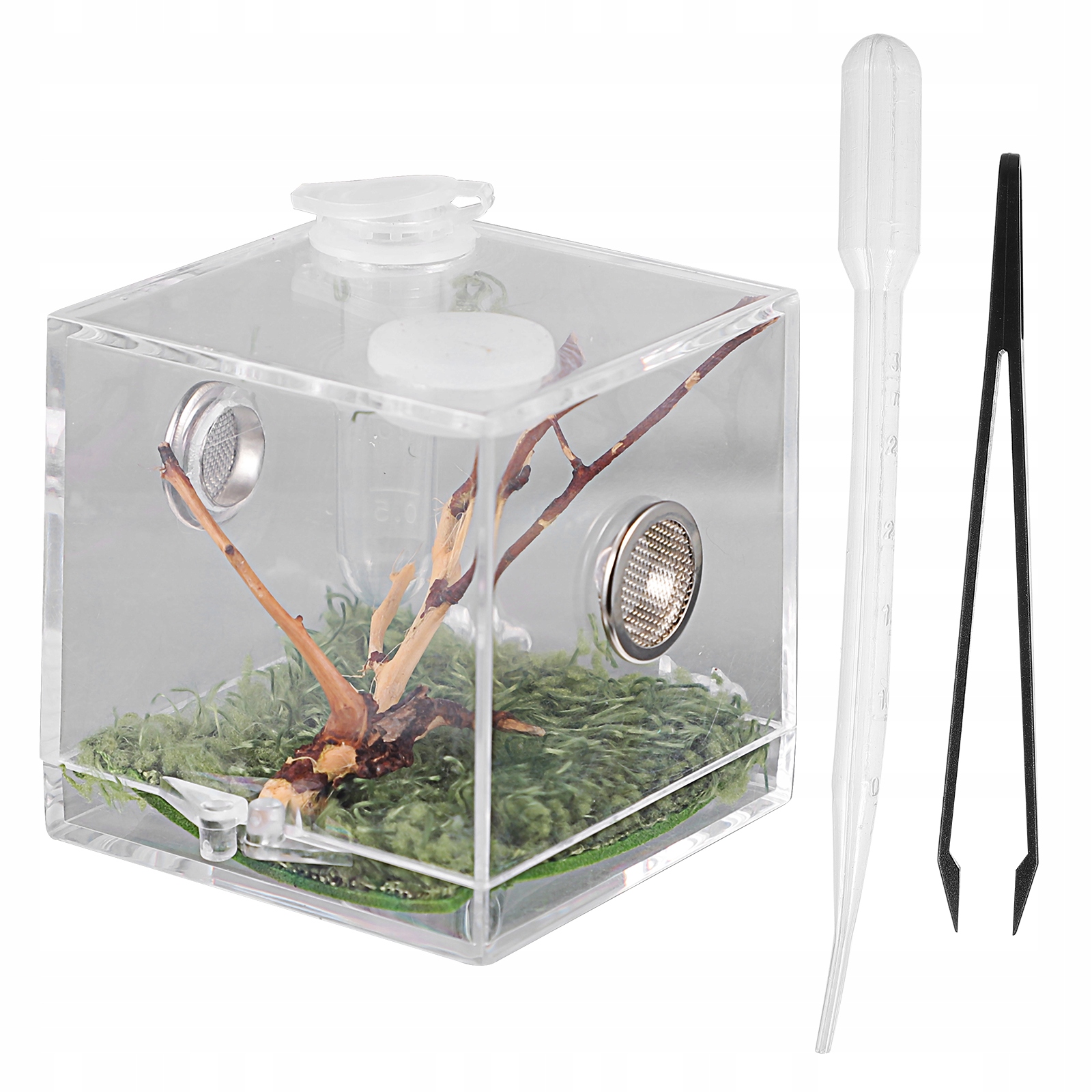 

Skaczący pająk Zbiornik do terrarium dla pająków
