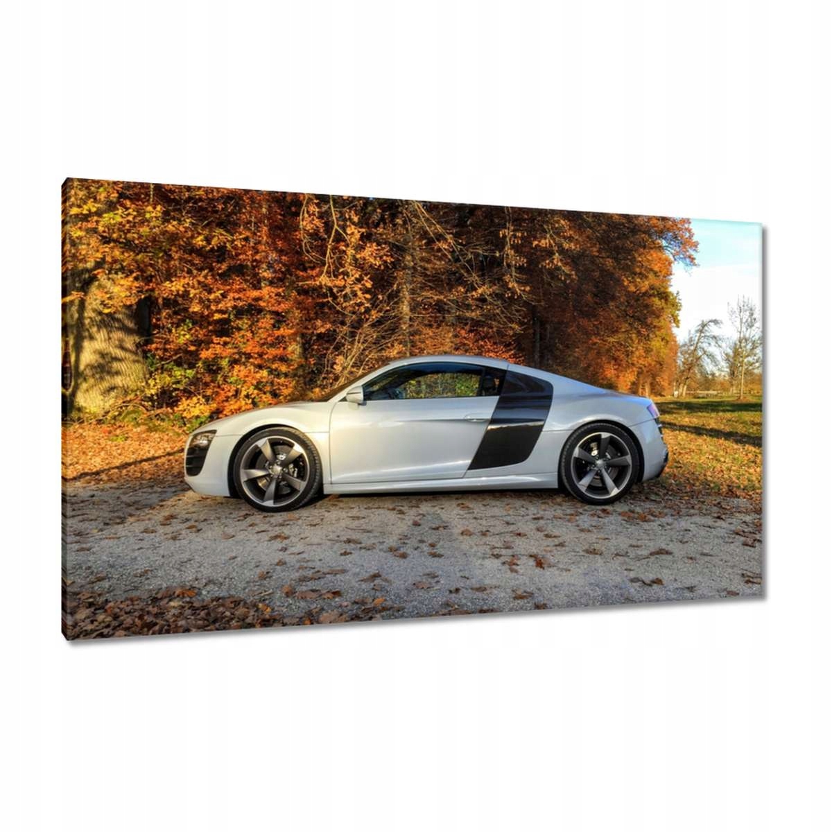 Obrazy 120x70 Podzimní Audi Auto