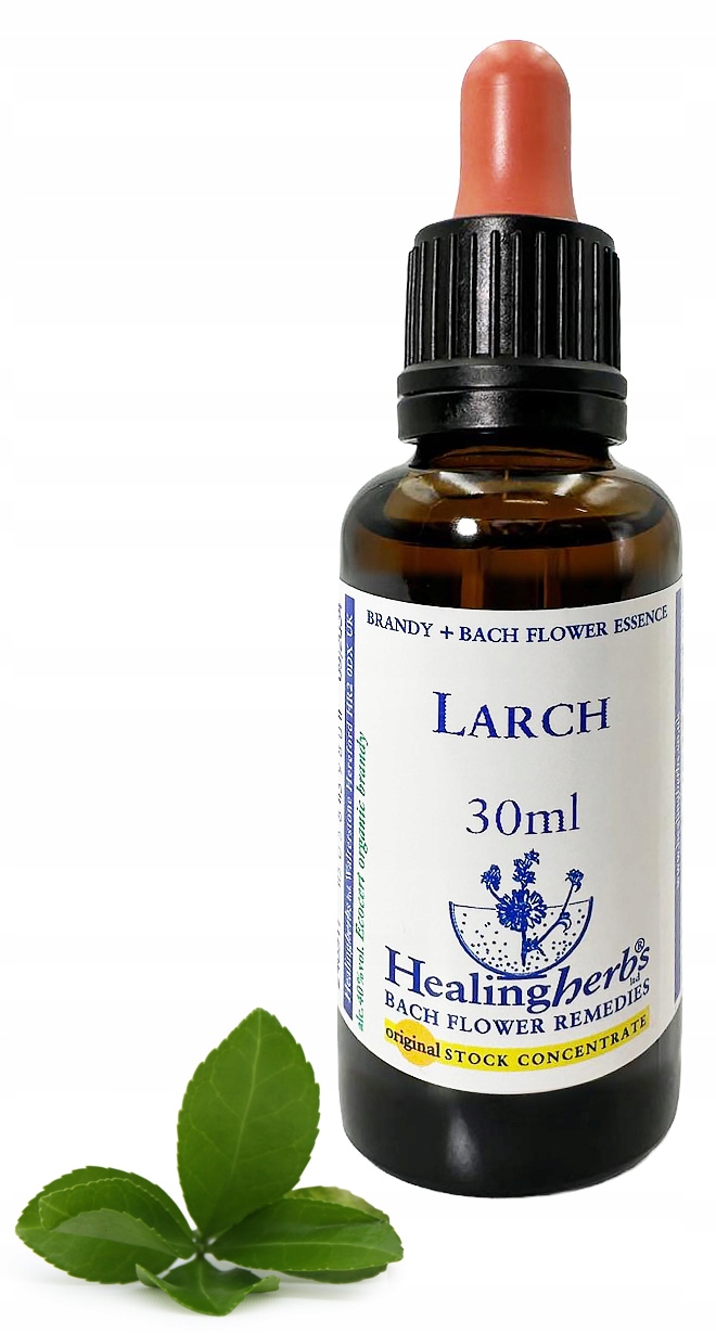 Esencja Dr Bacha 19. Larch Modrzew europejski 30 ml
