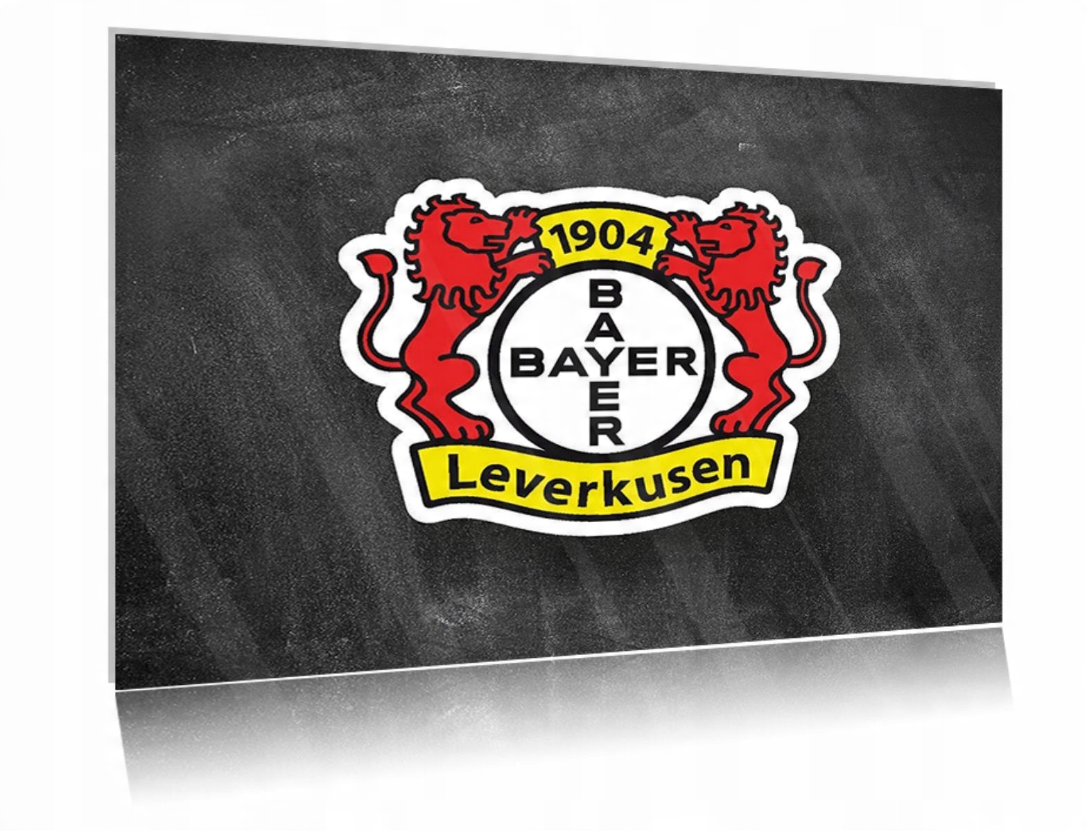 

Obraz szklany na szkle Bayer Leverkusen 01 80x60