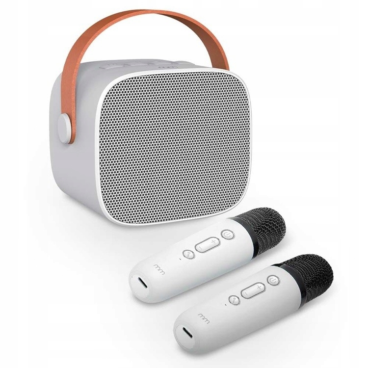 Sada Pro Karaoke Karaoke 2 Go Bluetooth reproduktor 2 Mikrofony Přenos 2 ks
