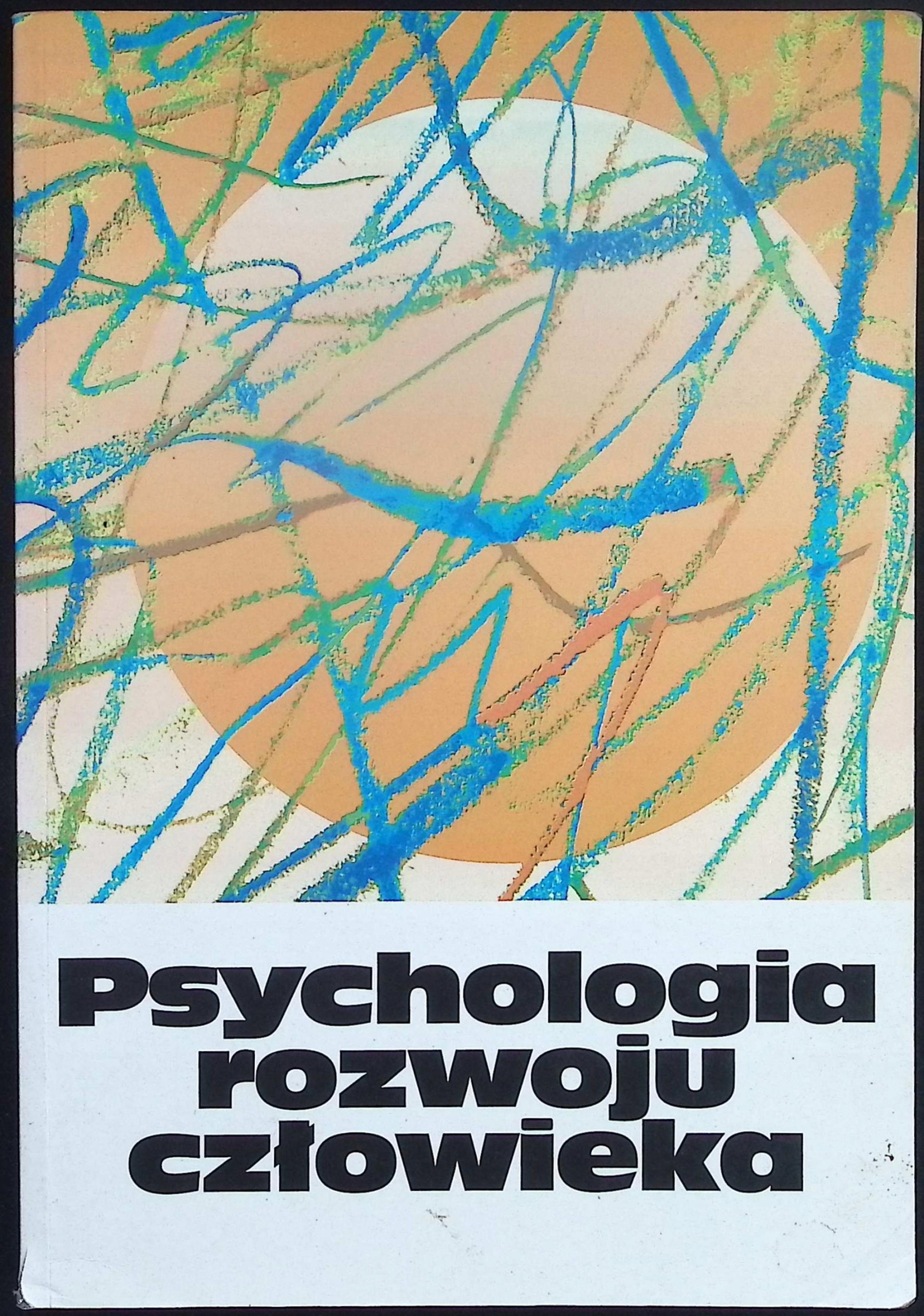 Psychologia rozwoju człowieka Tom 2
