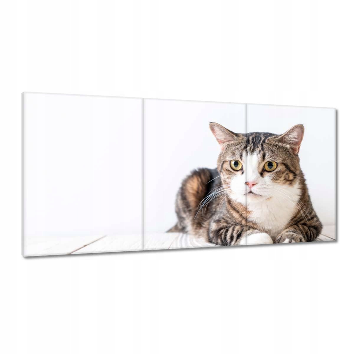 Obrazy 180x90 Mačka Mačky