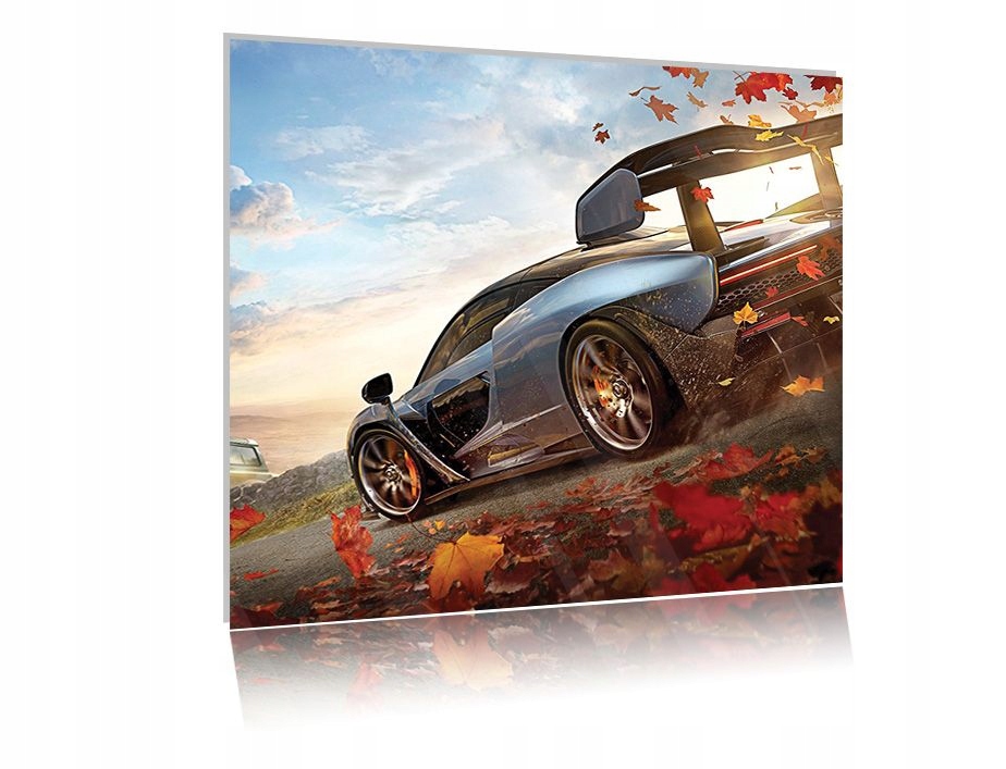 

Obraz szklany na szkle Forza Horizon 03 50x50