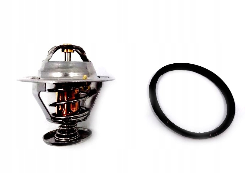 Termostat Isuzu 6BD1 6BG1