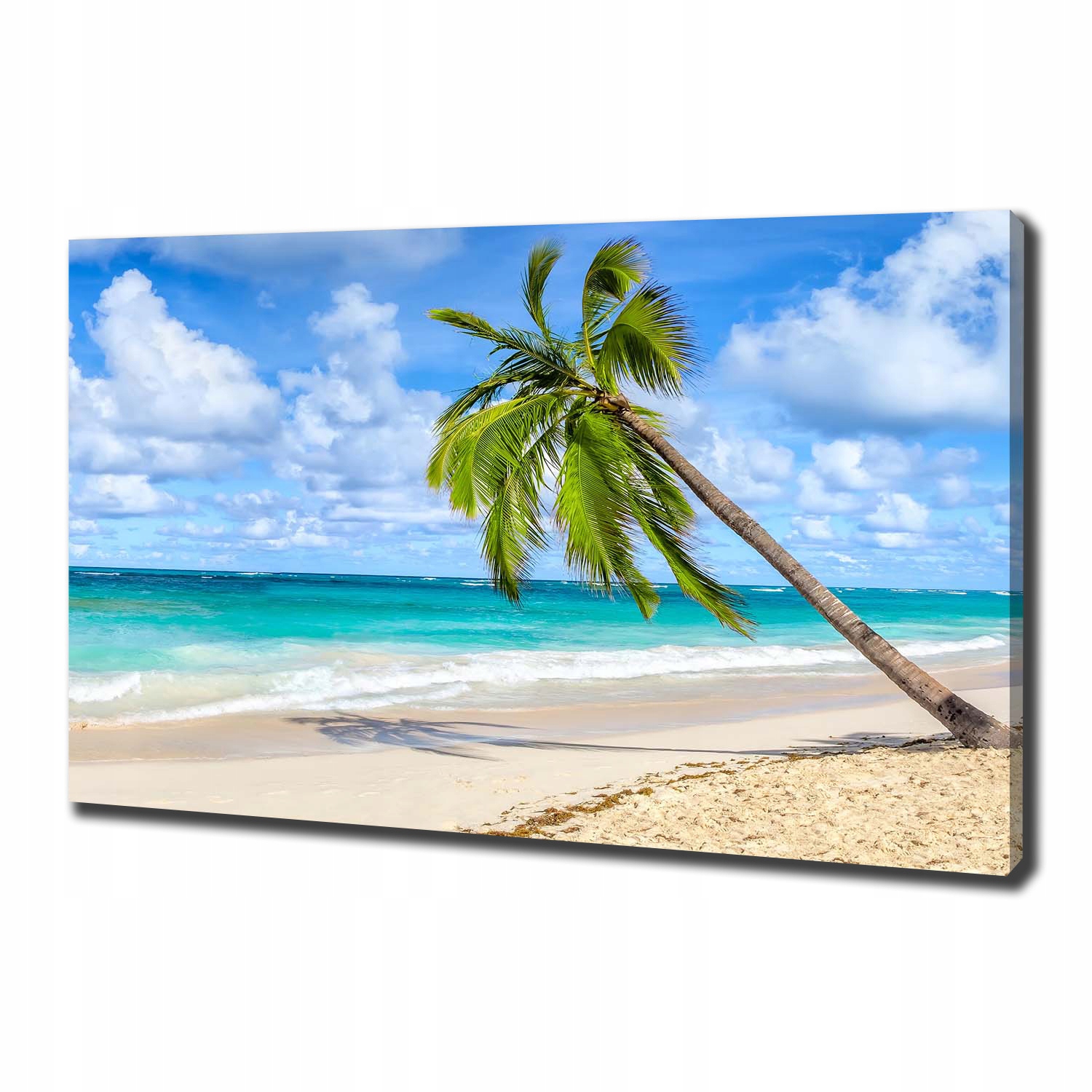 

Foto obraz na płótnie Tropikalna plaża 100x70 cm