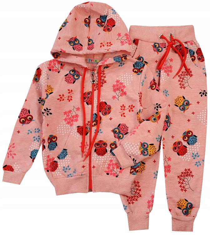 

Dres Komplet Spodnie Bluza róż Sowy 5-6 J145A