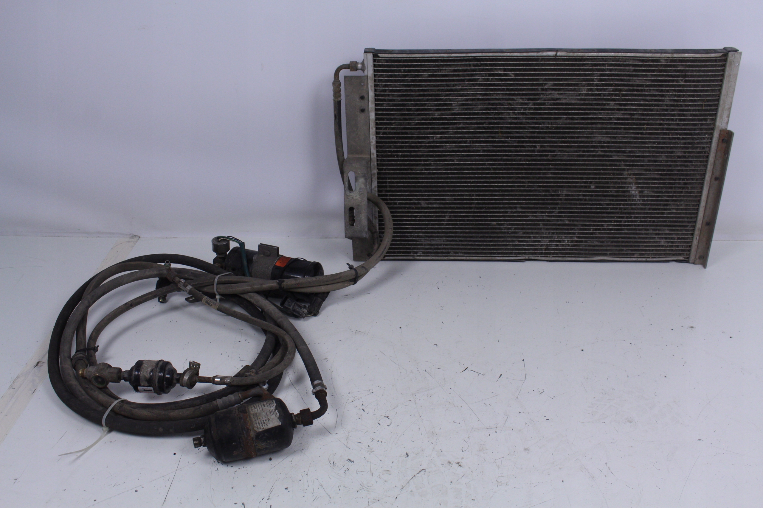 9fbecfd745699491cd1843622489