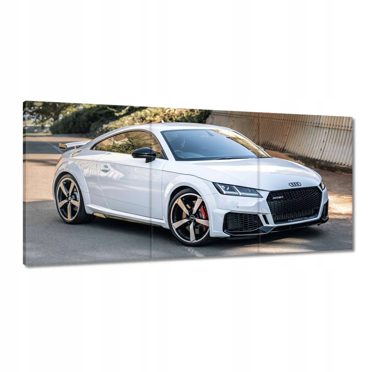 Obrazy 210x100 Biele Audi Quattro Tt Rs
