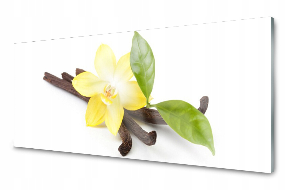 

Panel szklany do kuchni Wanilia Liście 125x50